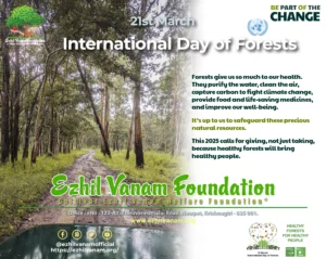 World Forest Day